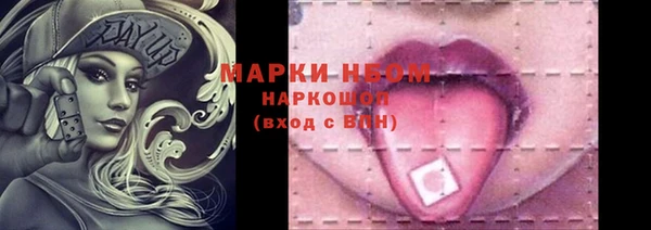 прущие грибы Каменка