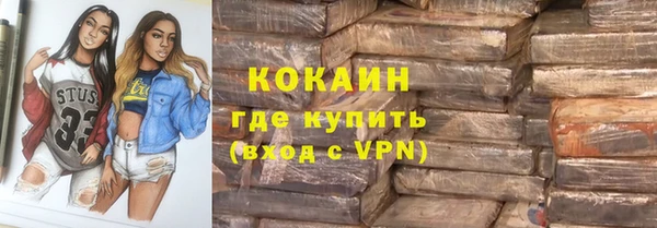 прущие грибы Каменка